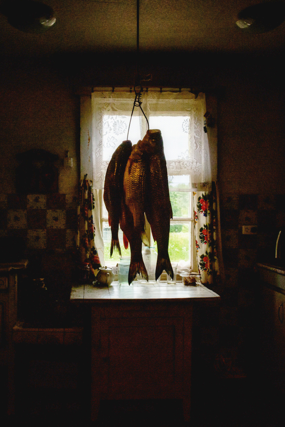 Жизнь вокруг