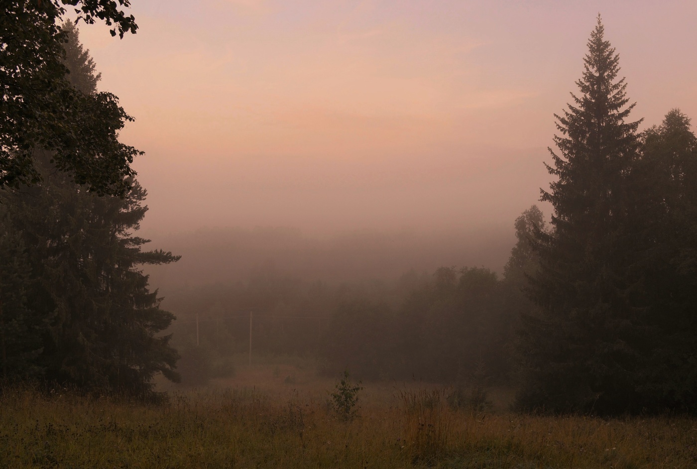 Раннее утро ...