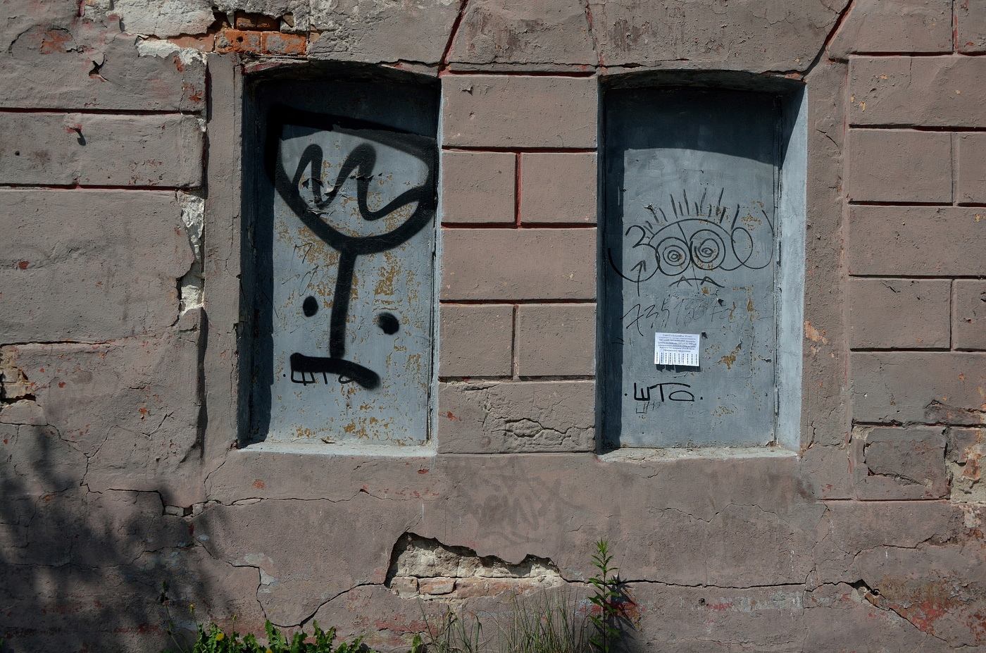 На нас смотрят...