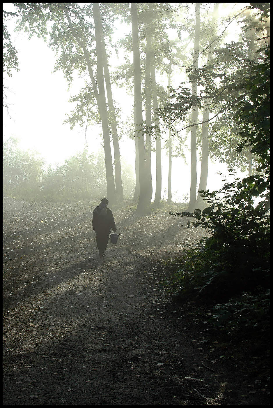 Утро туманное