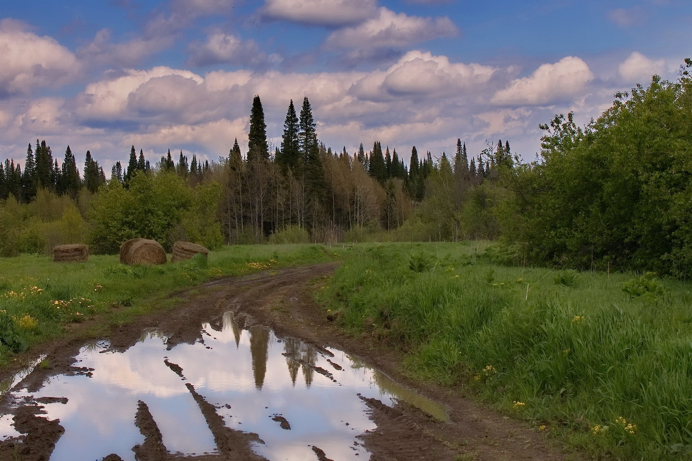 *Сибирское лето.**