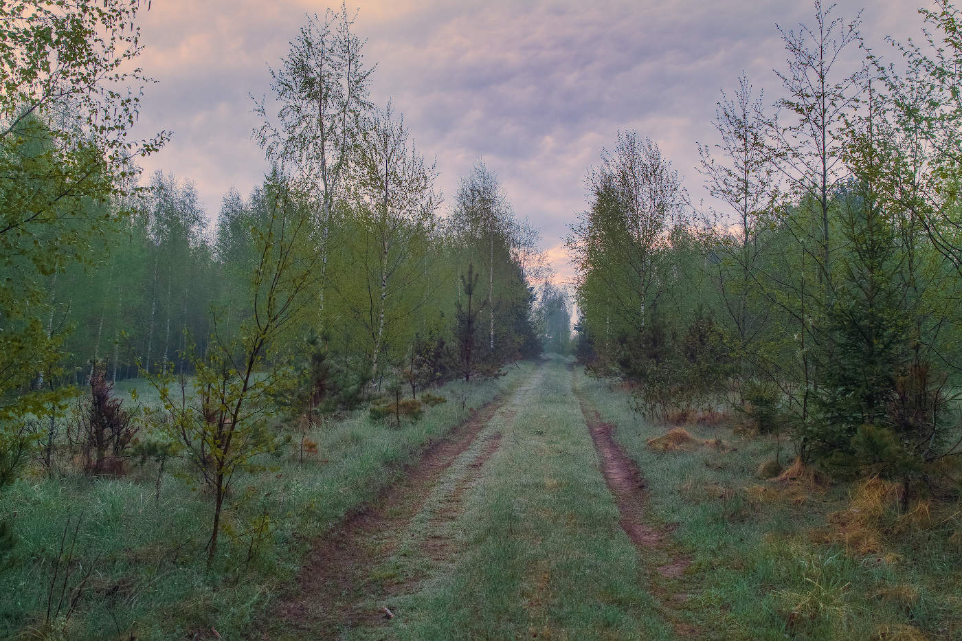 Дорога к рассвету