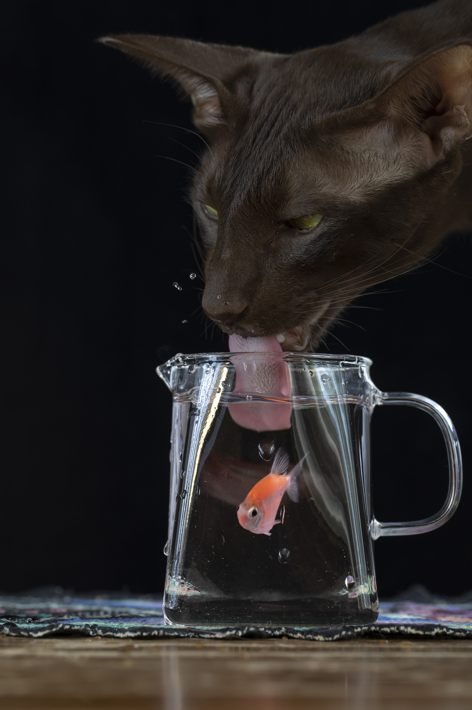 Ловись, рыбка)