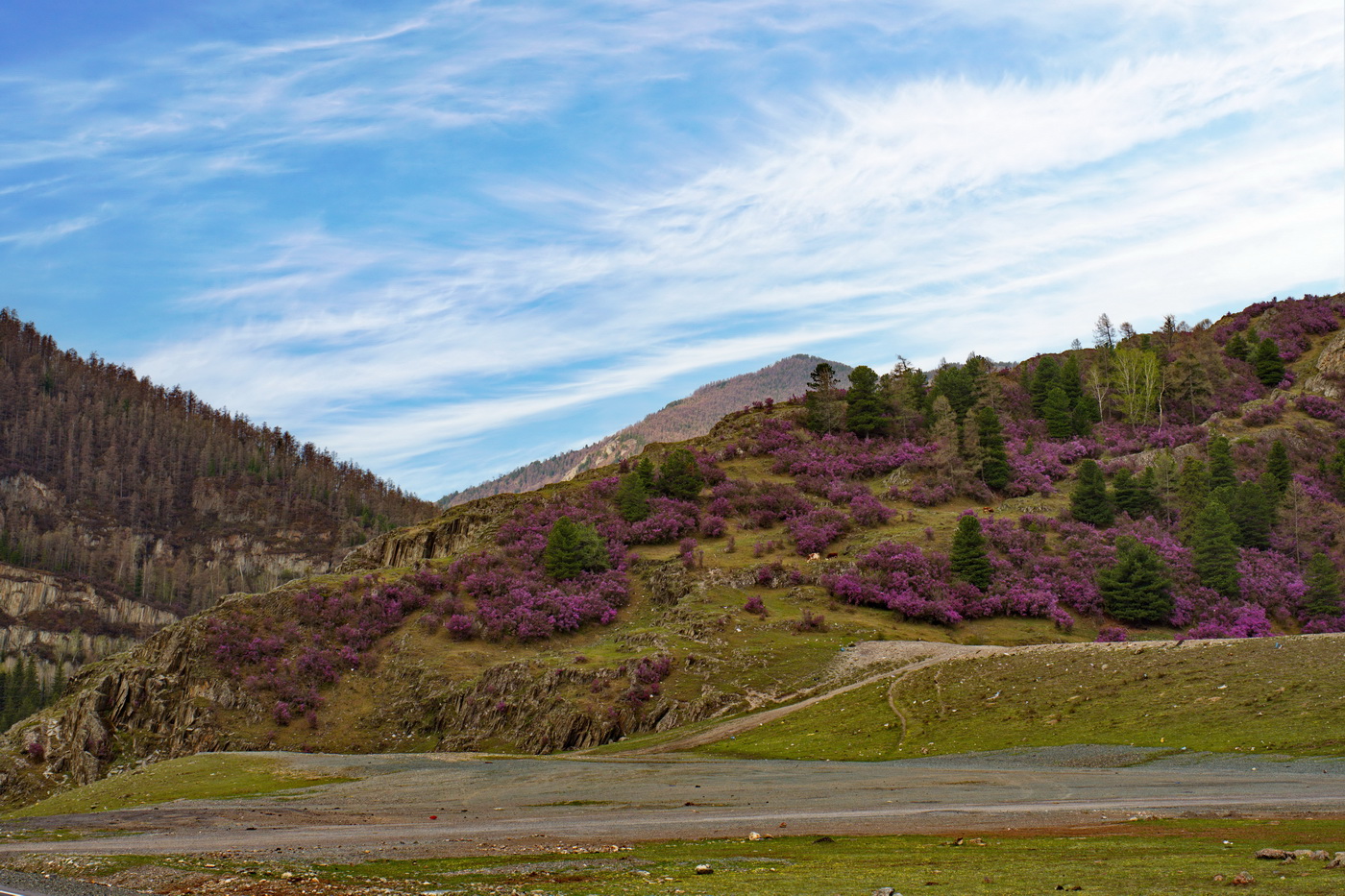 Вид с дороги.