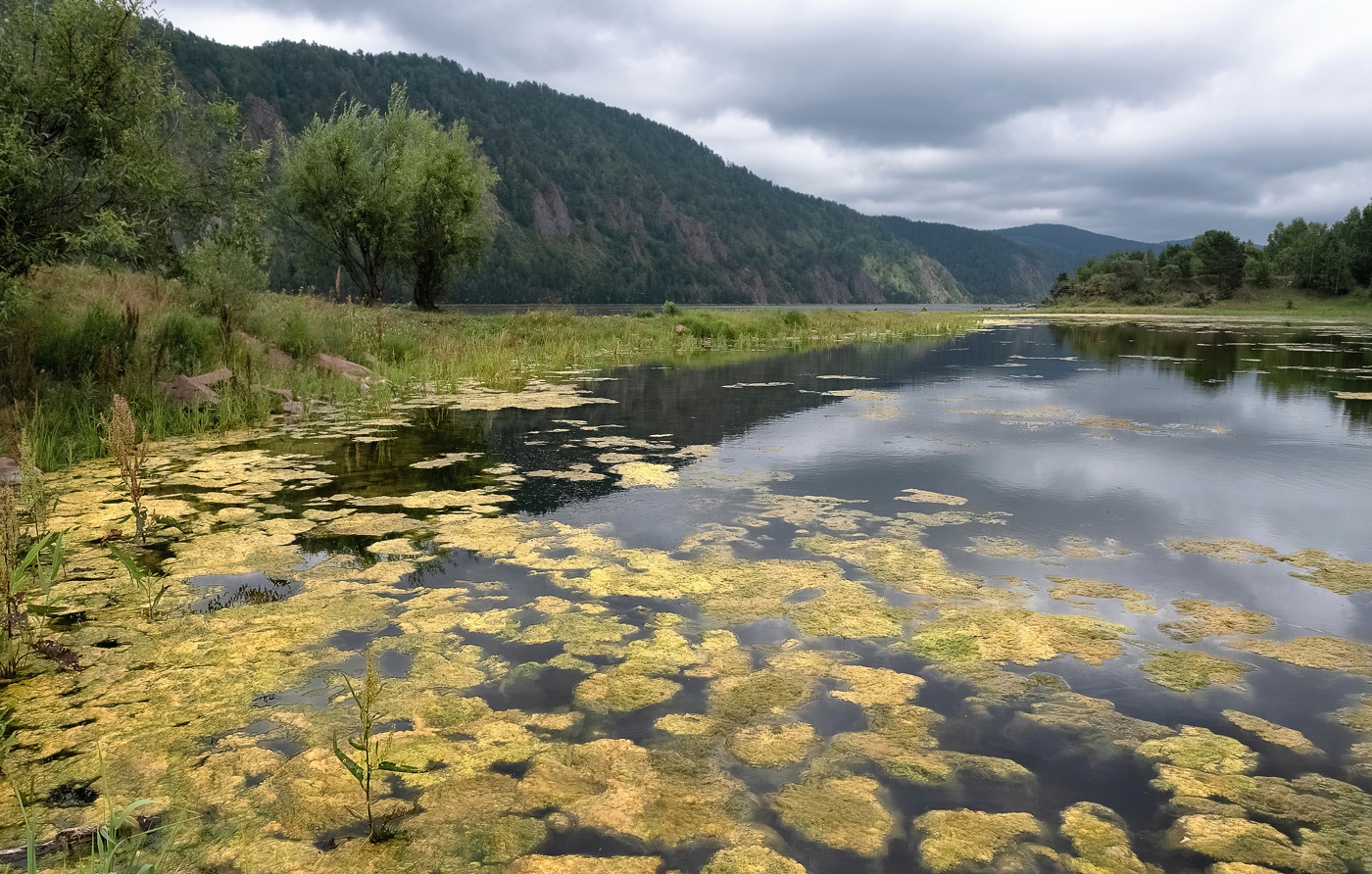 Старый пруд