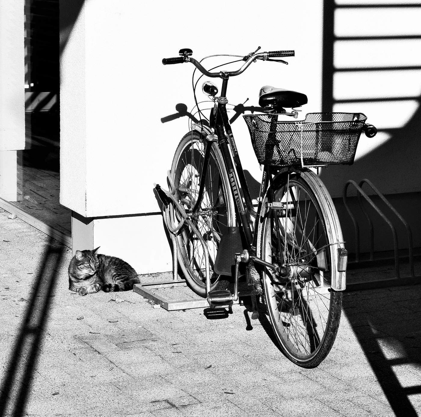 Солнечный день ...