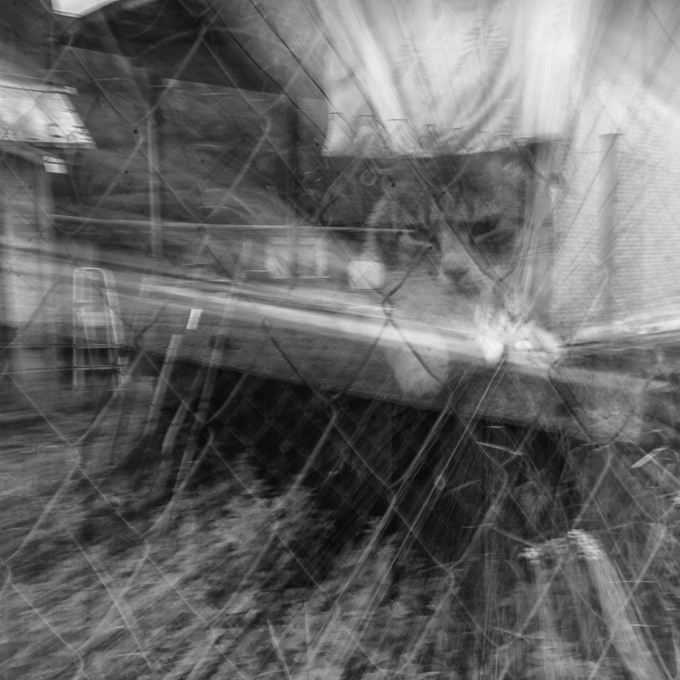 Жизнь вокруг