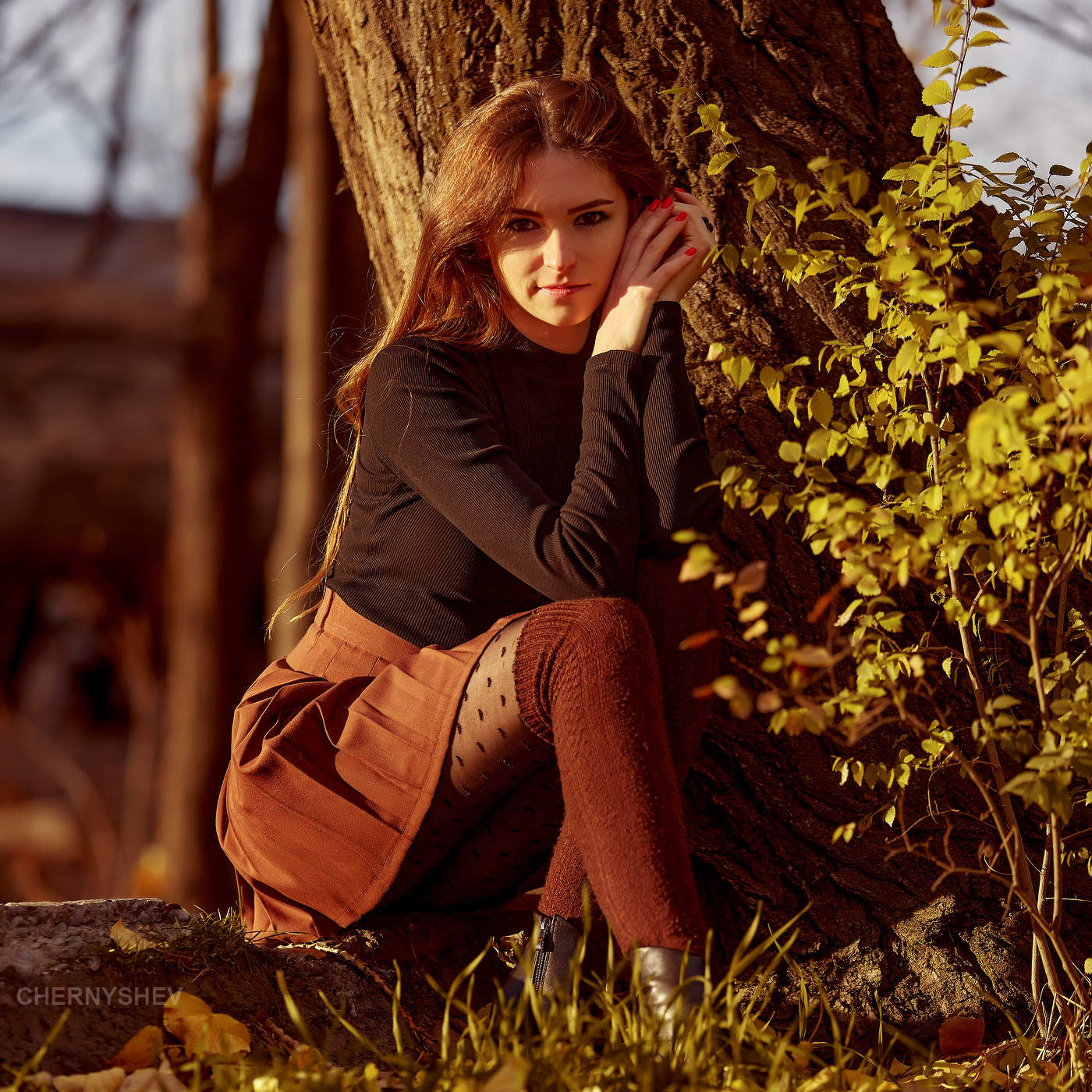 из альбома "логика листьев".