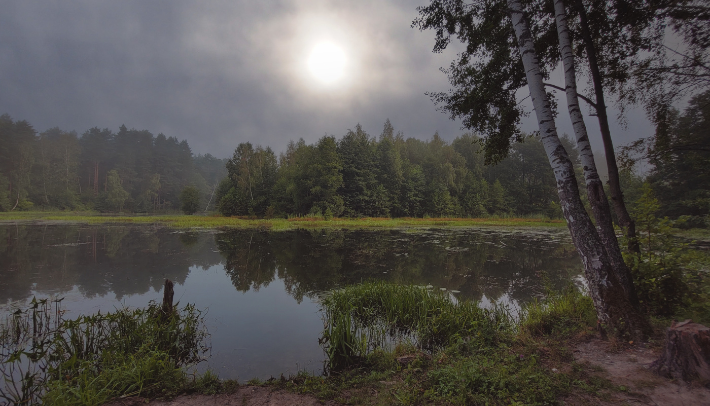 В туманной дымке лес затих – ни ветерка, ни трелей птичьих..