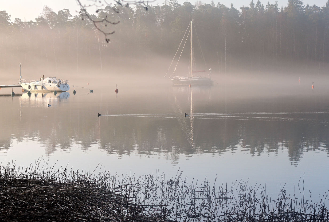 В утренней тишине