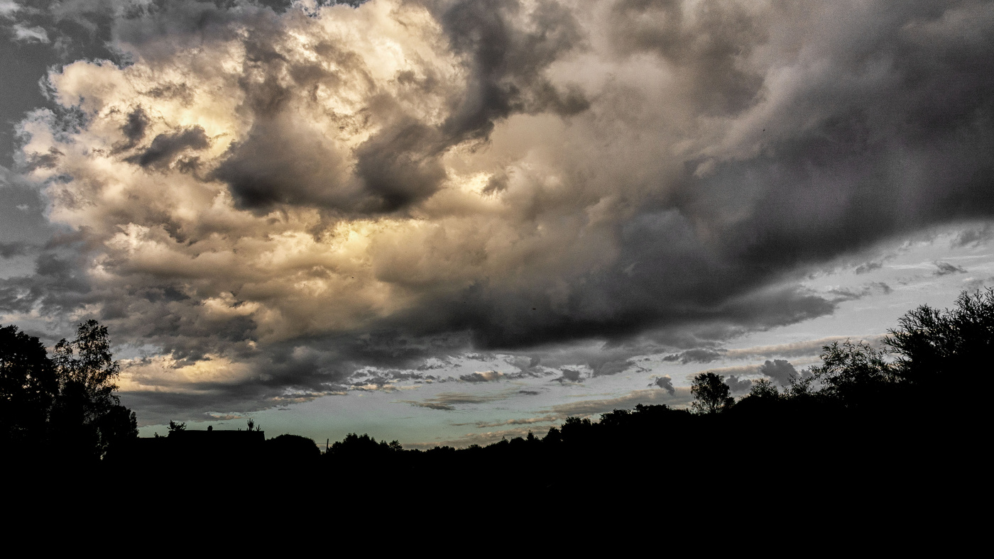 Жизнь вокруг