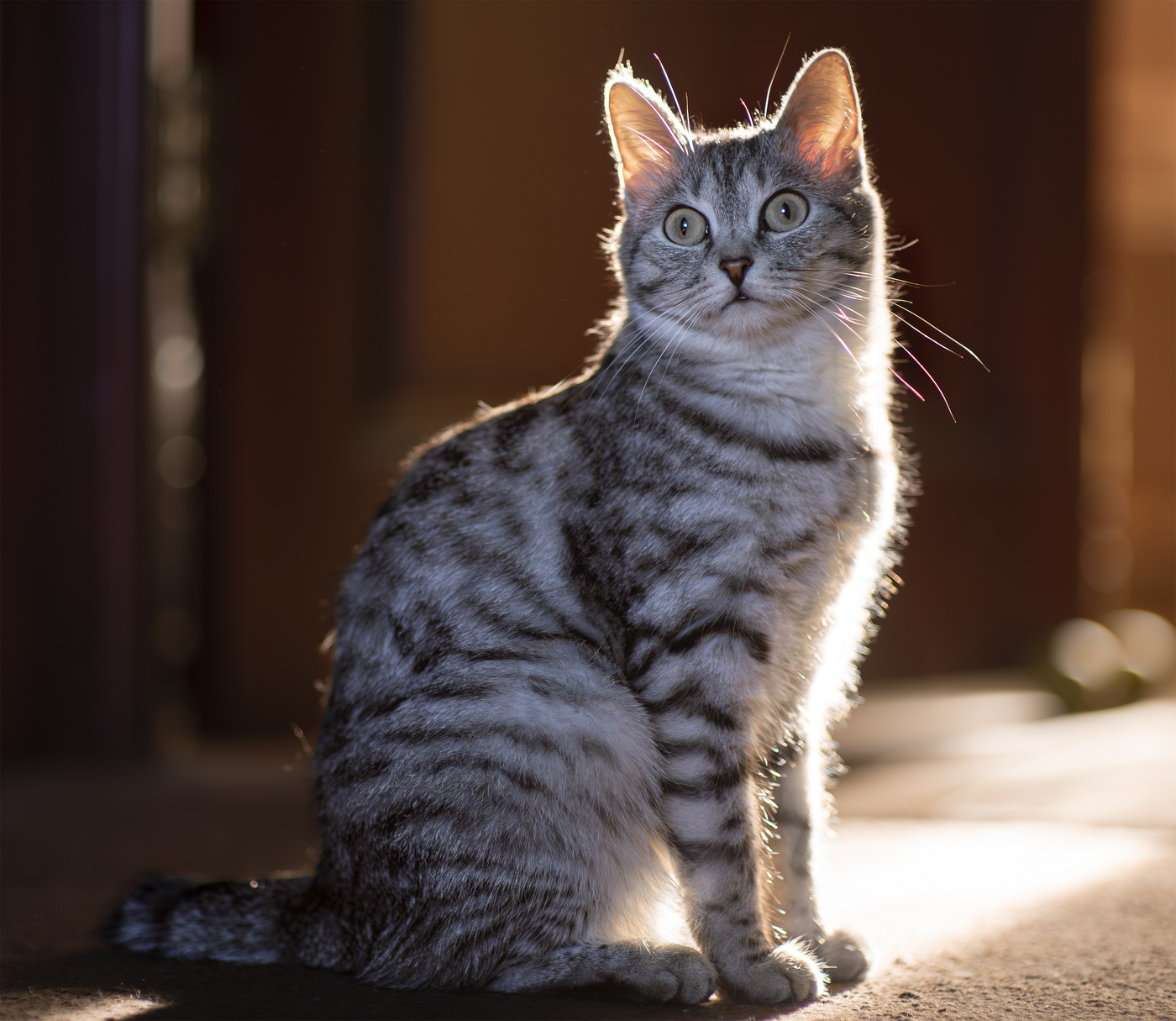 Портрет в контражуре