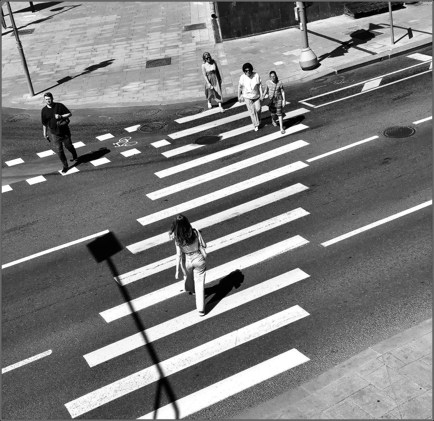 ..... "Зебра " .....