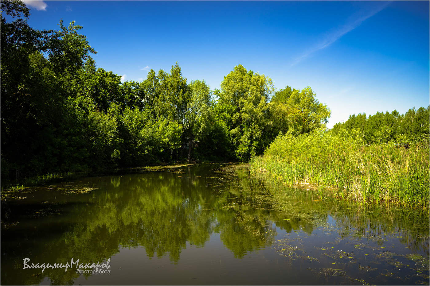 "Тенистый пруд"©
