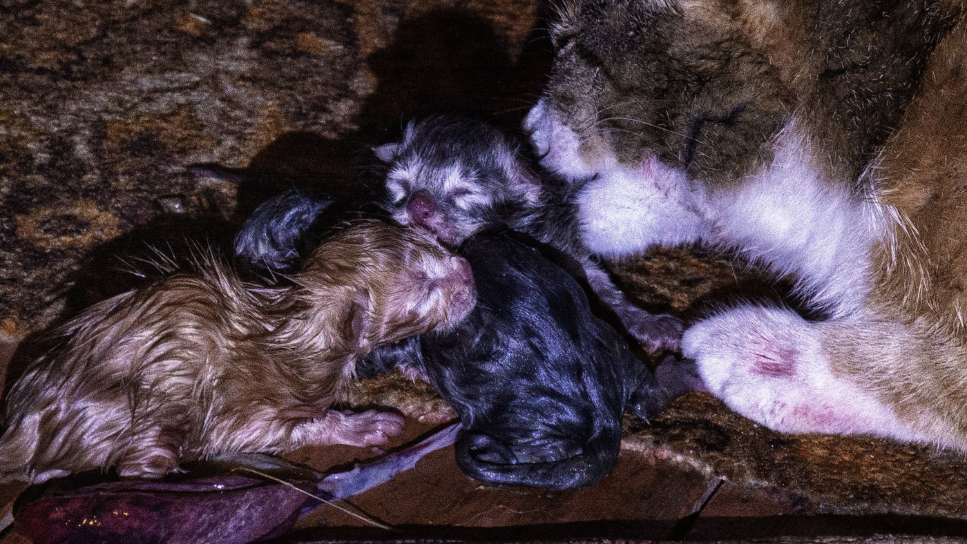 Жизнь вокруг