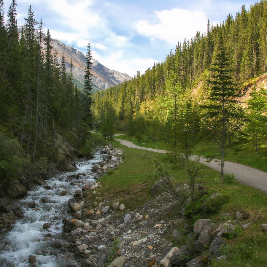 Пути-дорожки