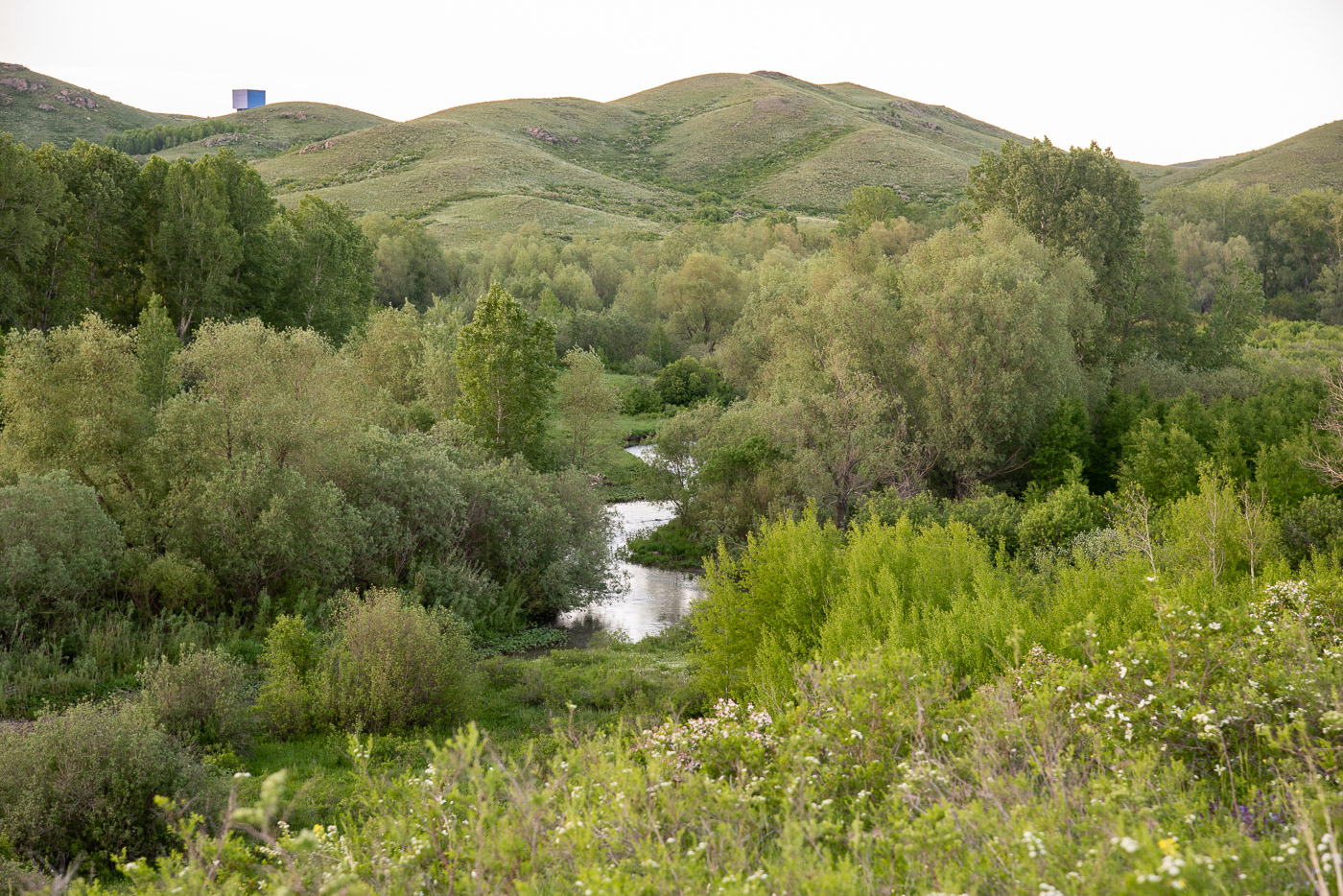 Речка змейкой серебристой...
