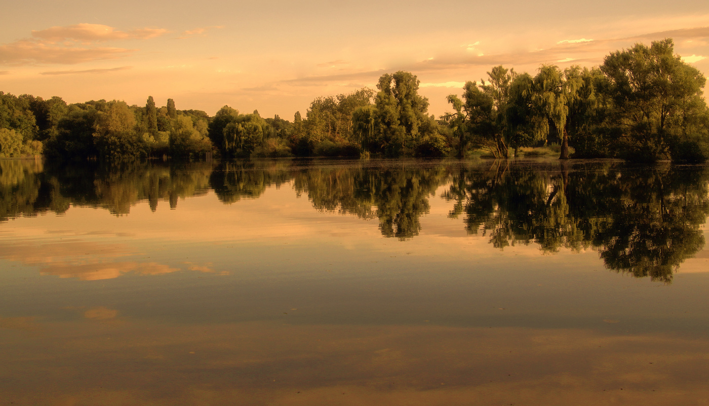 Нежное утро