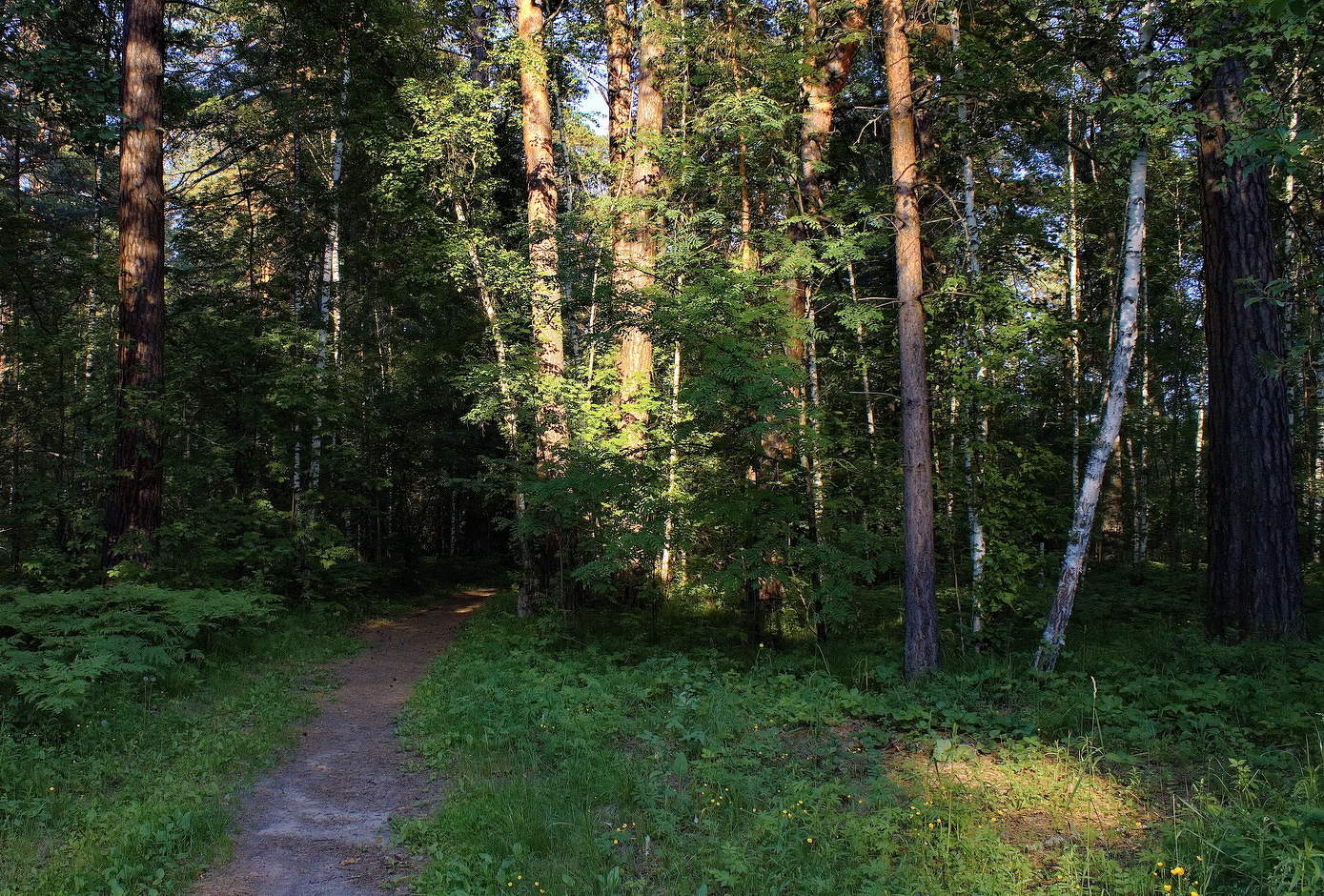 **Летним вечером.*