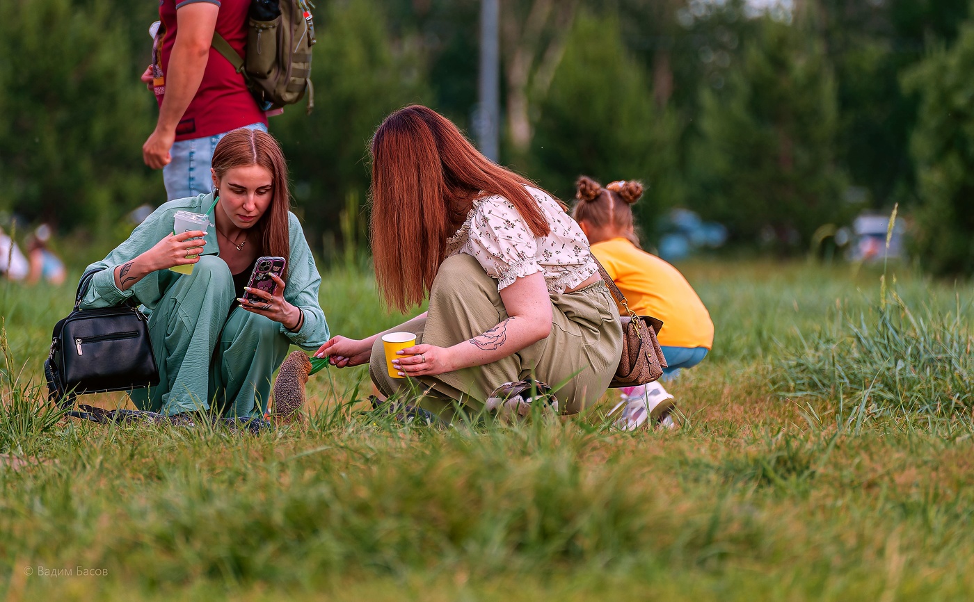 А кого мы тут кормим?