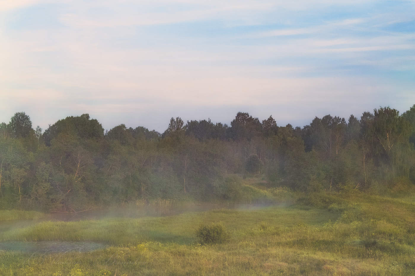 Лесная речка