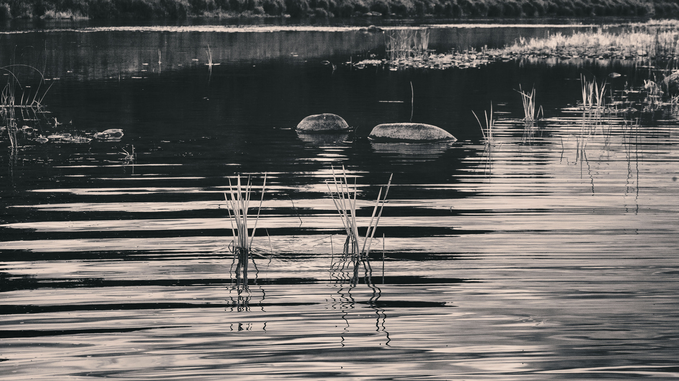 Жизнь вокруг