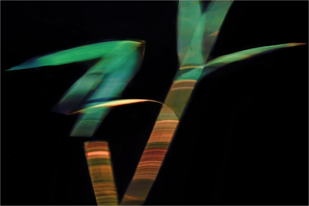 трава у реки