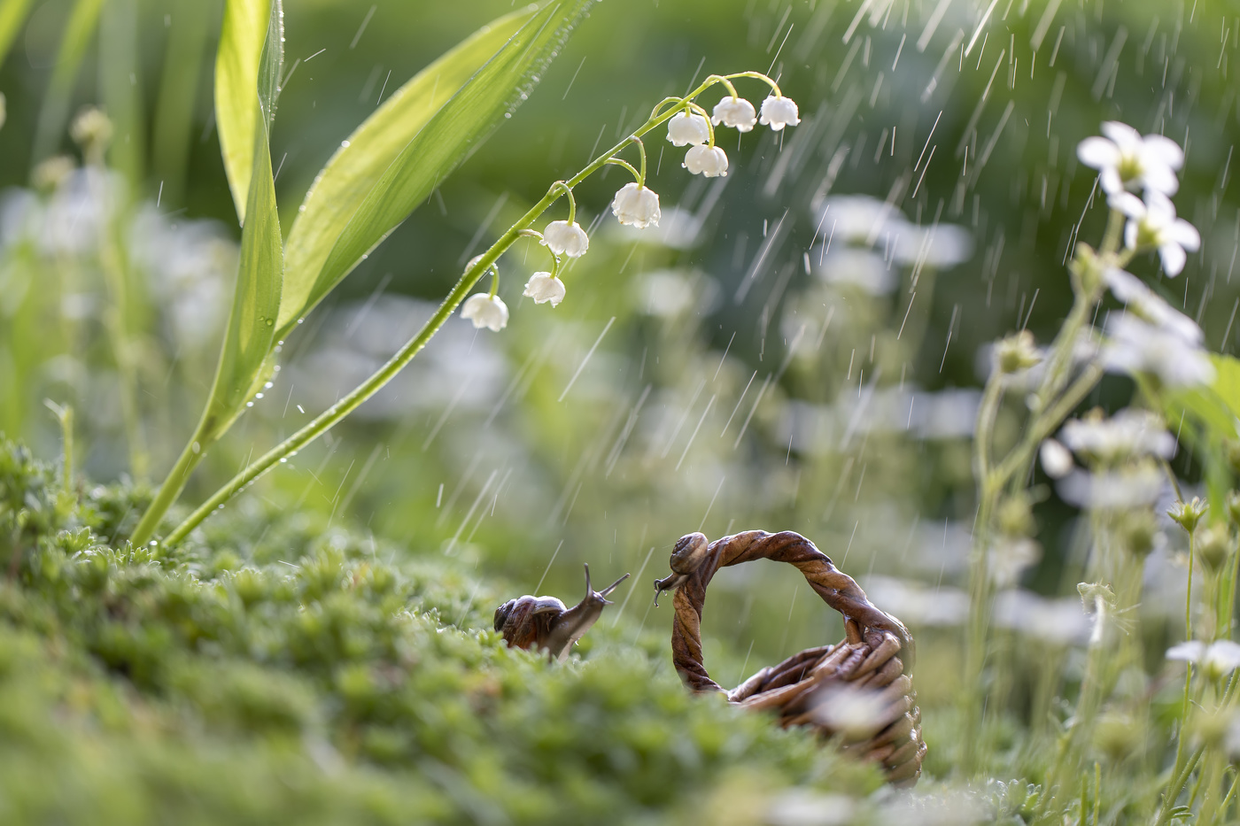 Просто летний дождь пошёл....