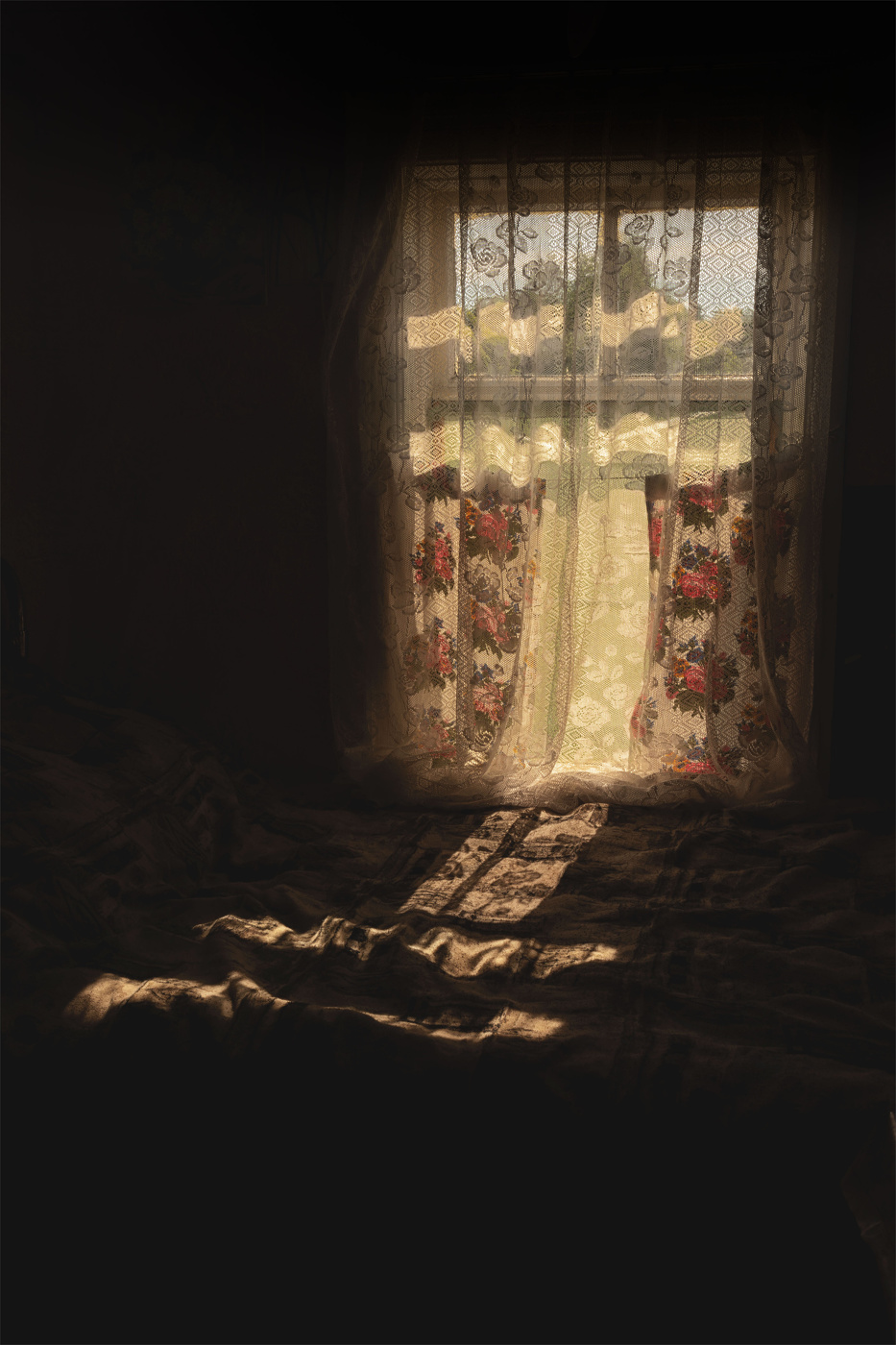 Жизнь вокруг