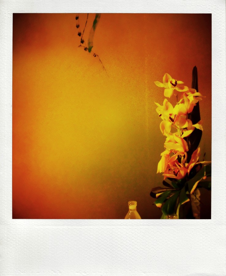 Некрасное I