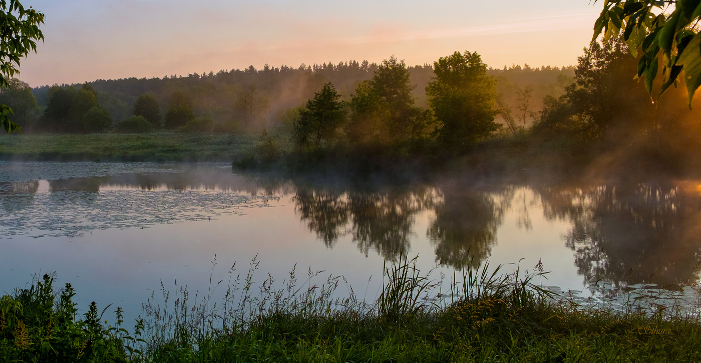 Летнее утро.