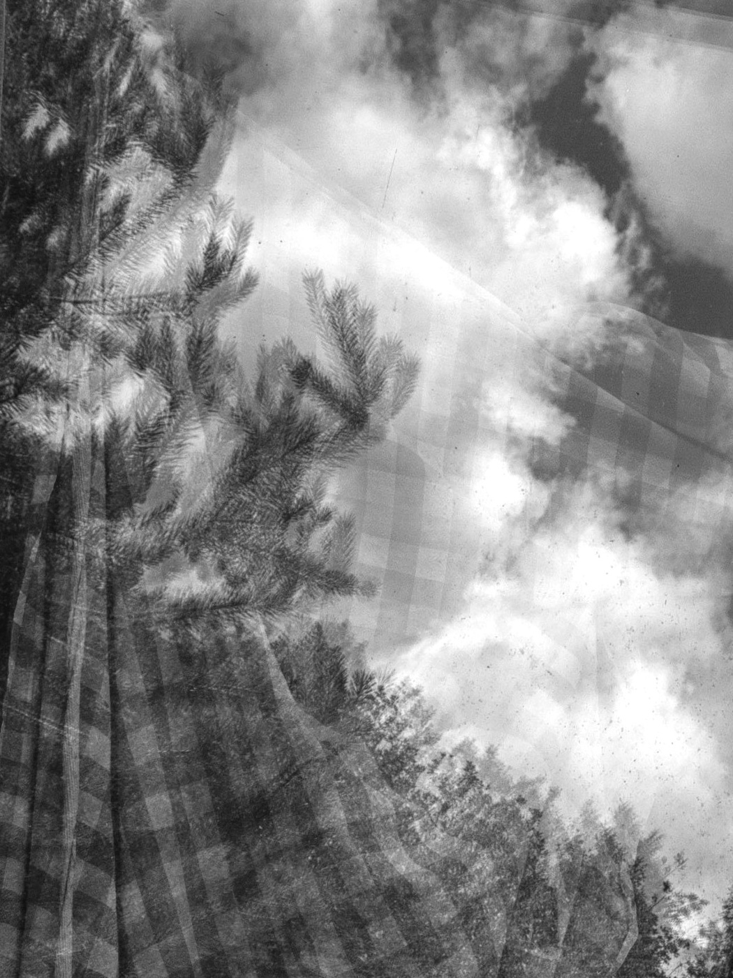 Жизнь вокруг