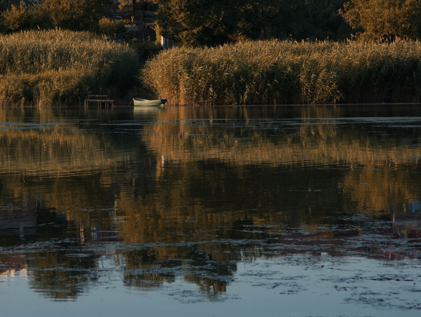 Одиночество в тиши