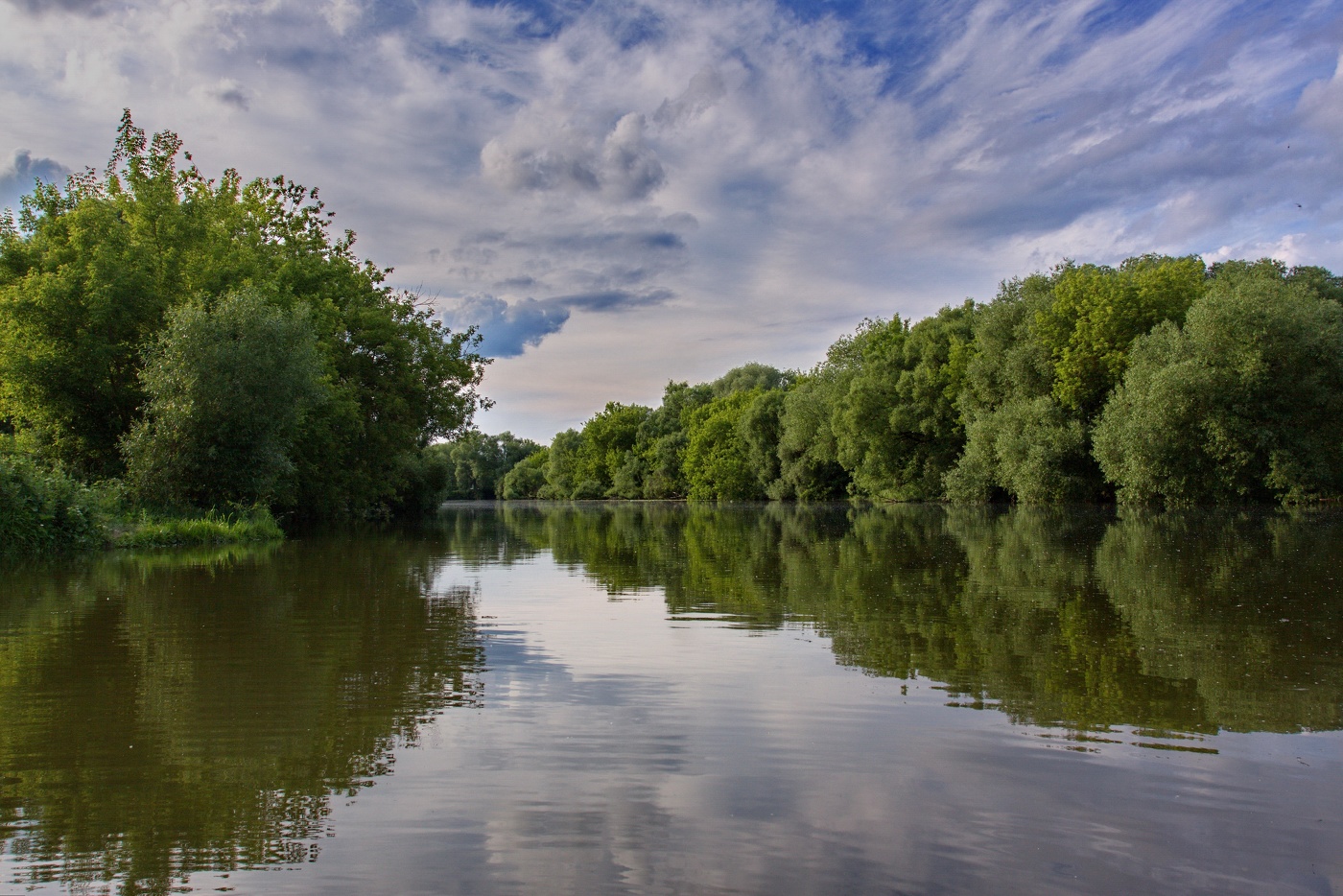 Июньский пейзаж