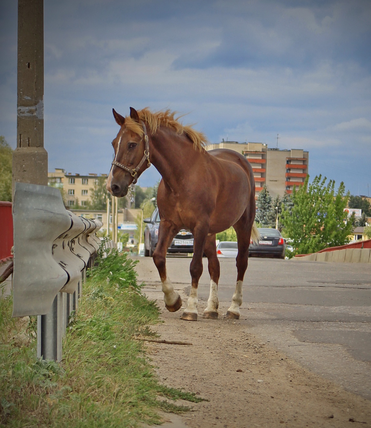 В суете городской