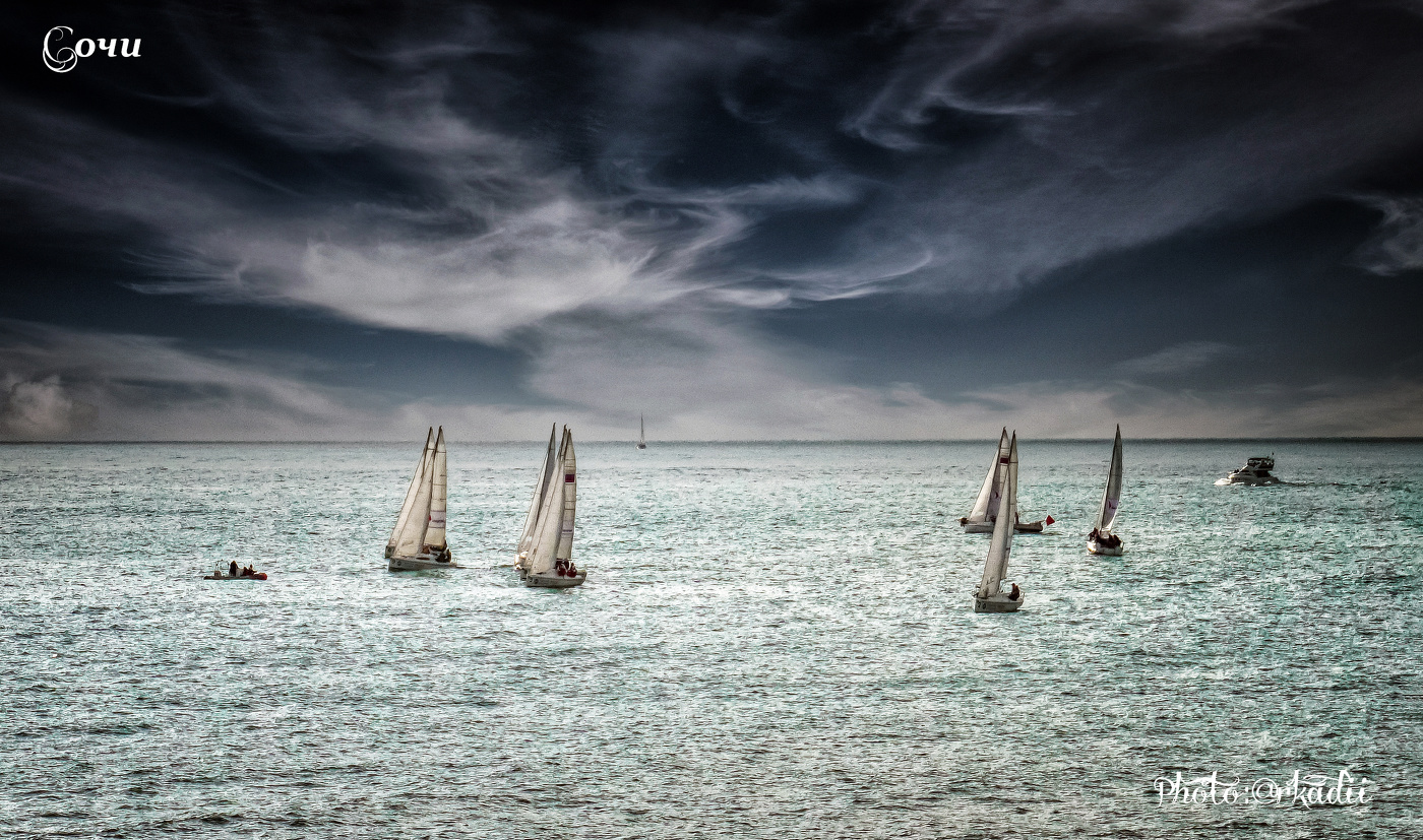 Регата (серия)