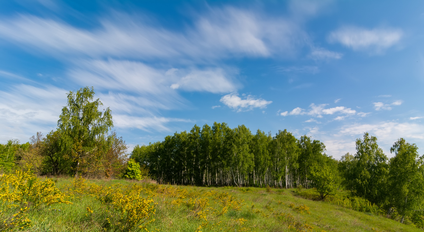 на Донском берегу