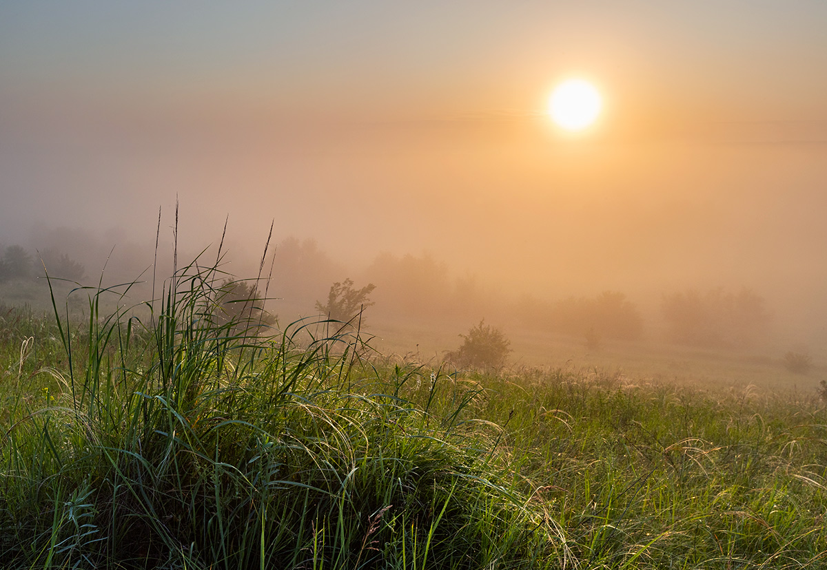 Восход, ковыль, роса, туман