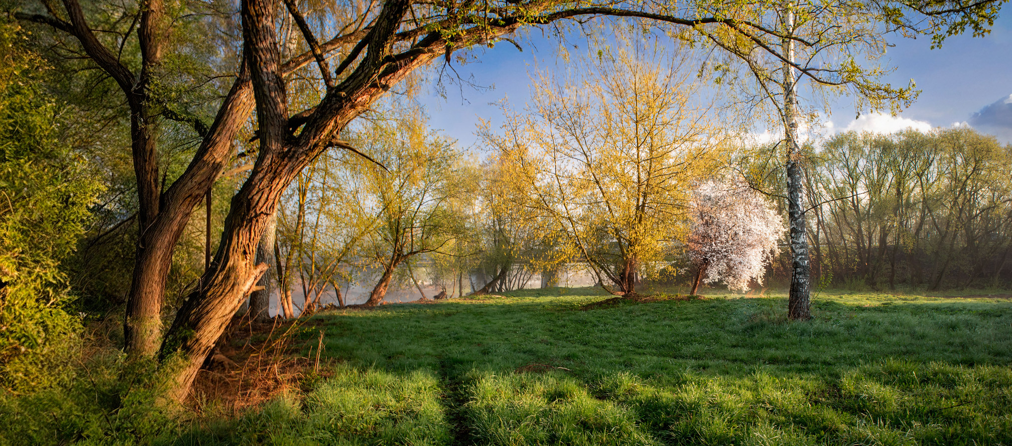 Весеннее утро
