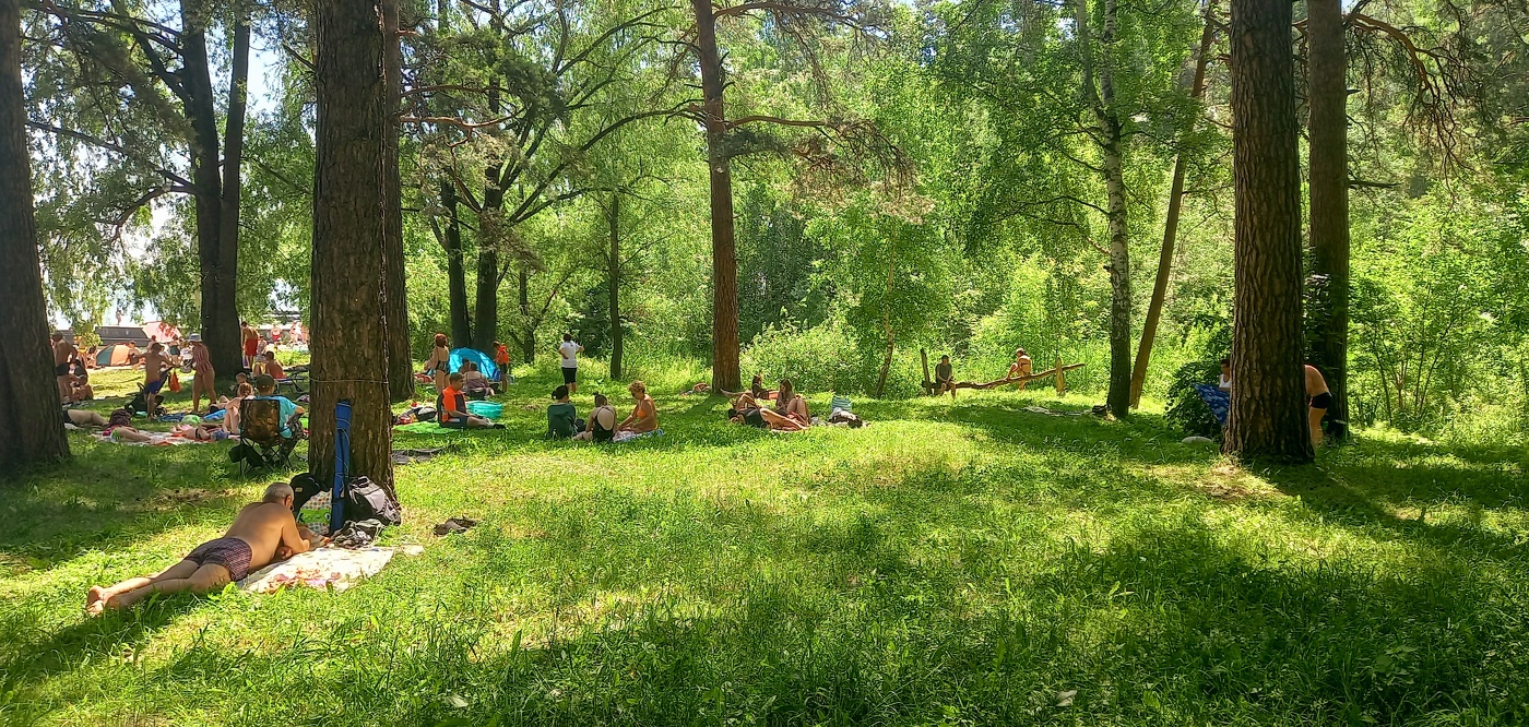 в парке на берегу