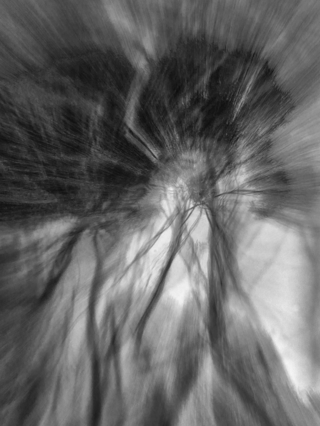 Жизнь вокруг