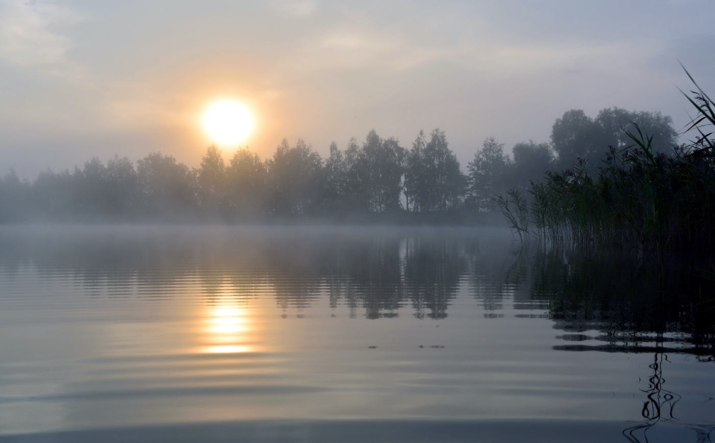 Время туманного утра