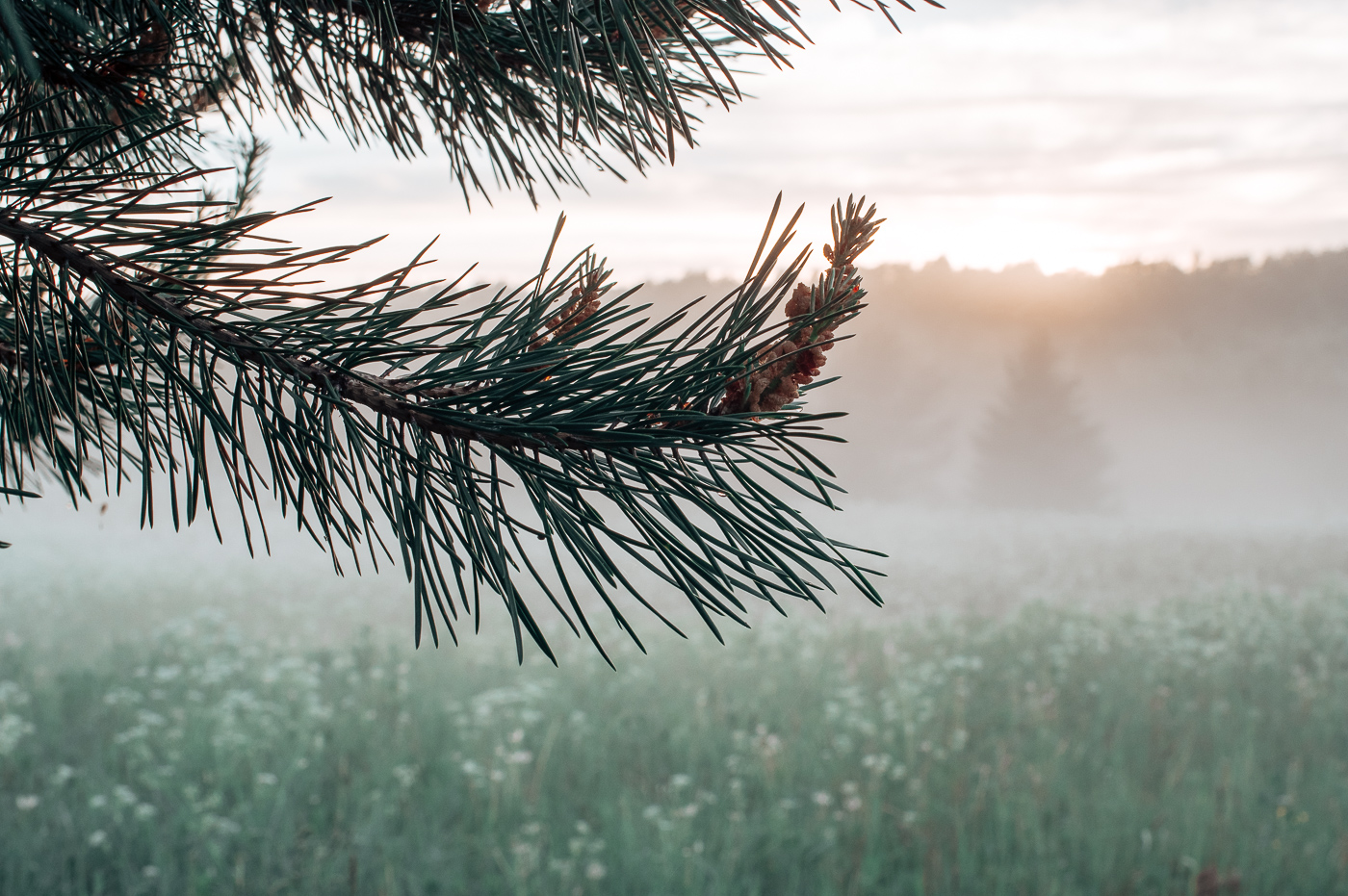 О Родине нежно