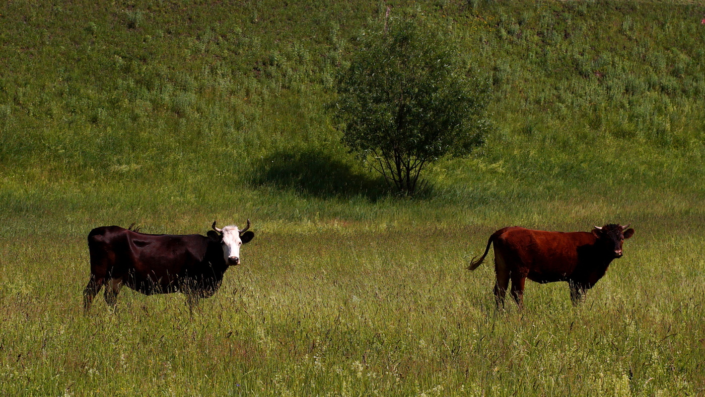Кое-что о работе с моделями...