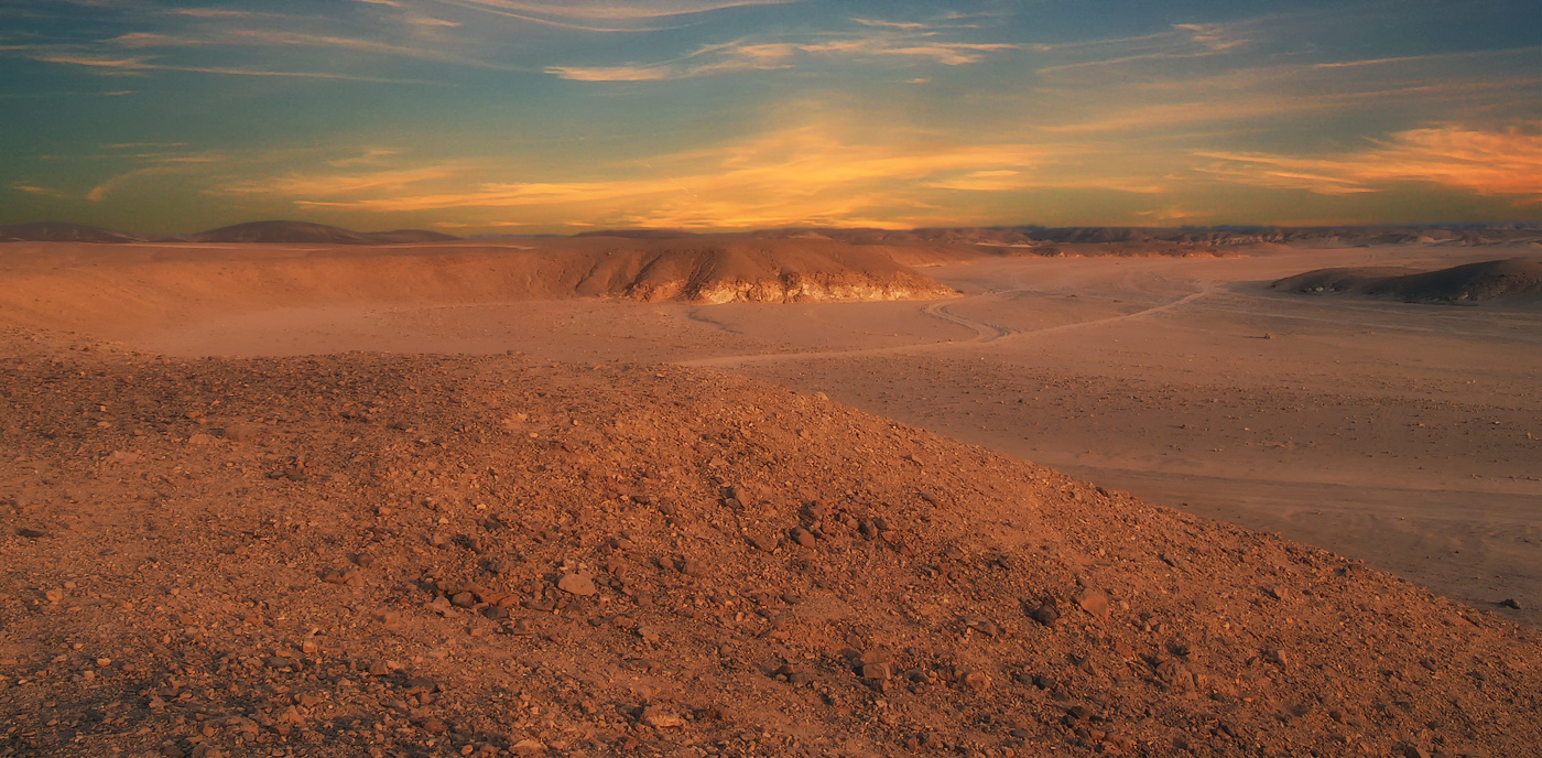 В пустыне Египта