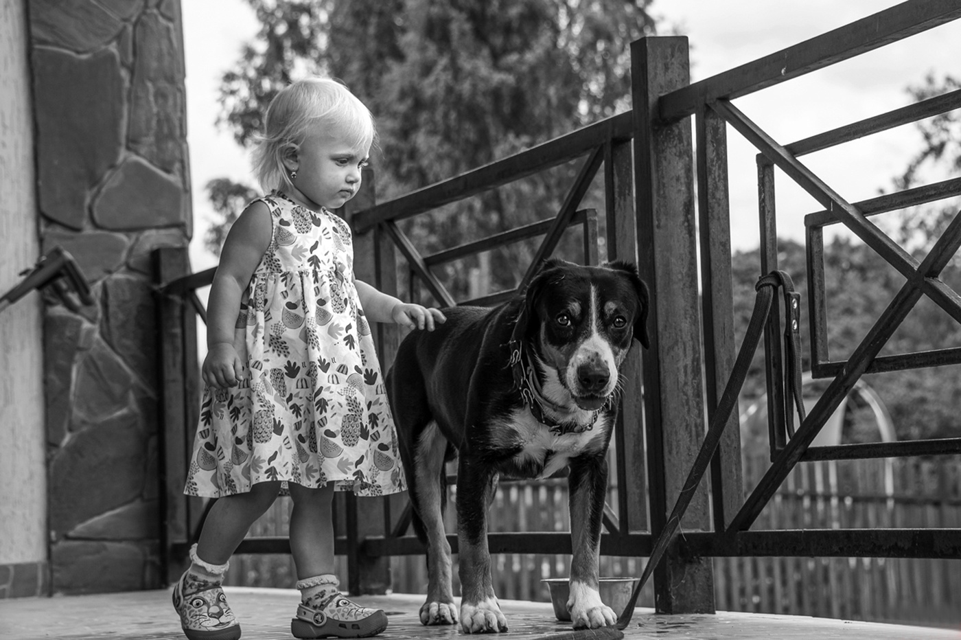 Надежный друг.