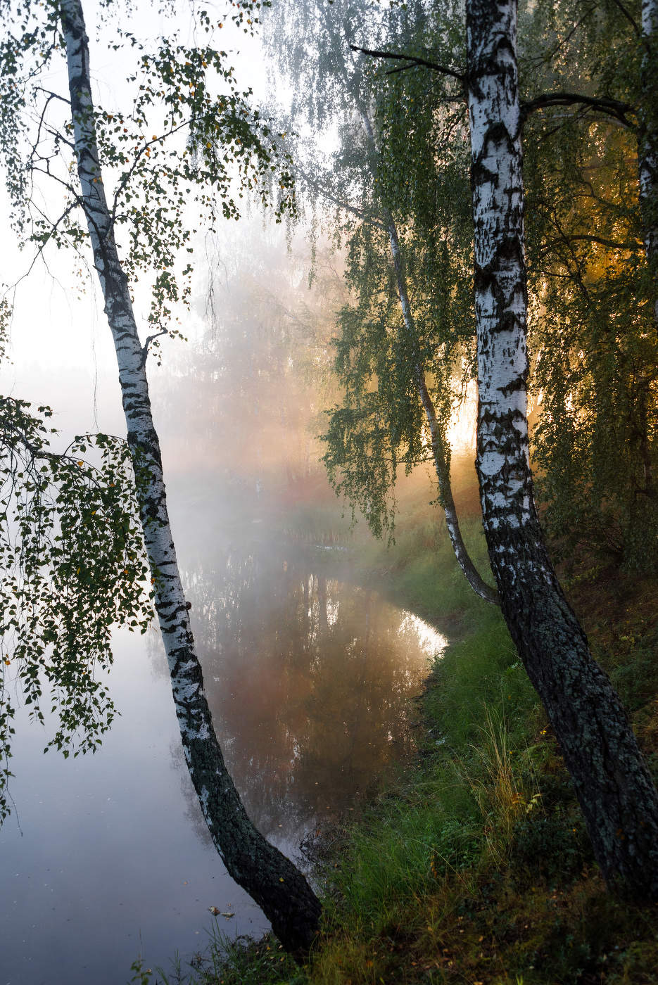 Утро на озере.