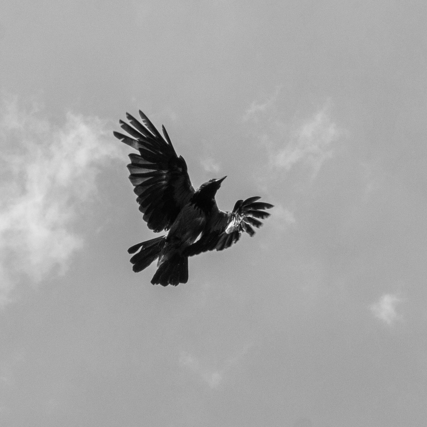 Жизнь вокруг