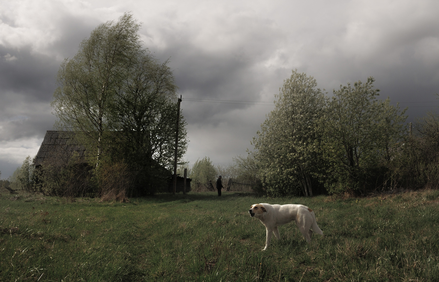 Нас тут не ждали.