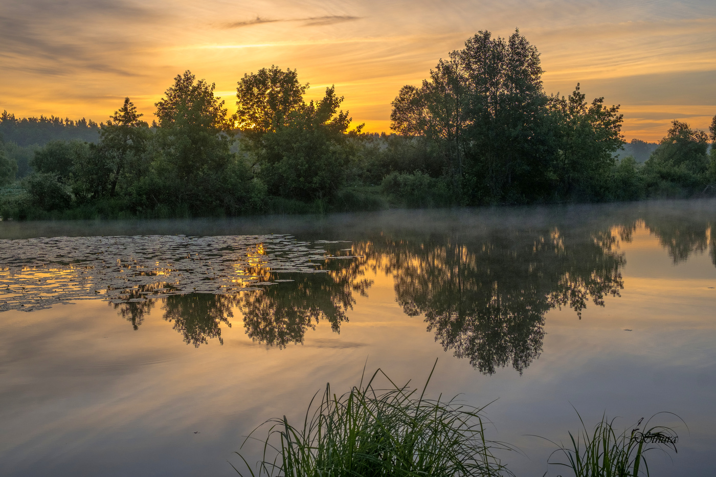 Июньское утро.